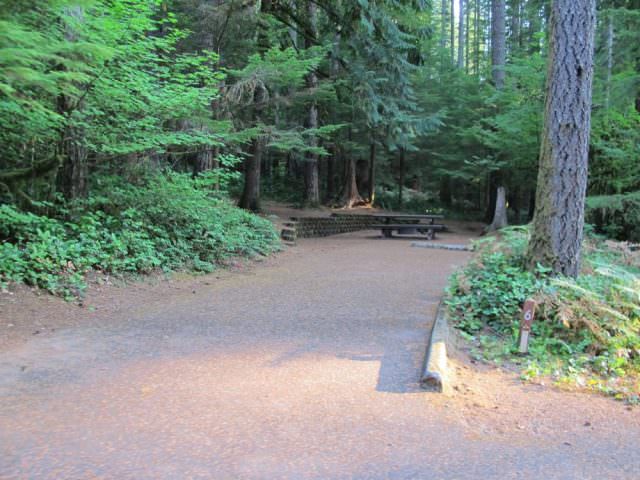 Cove Creek Campground Site#1