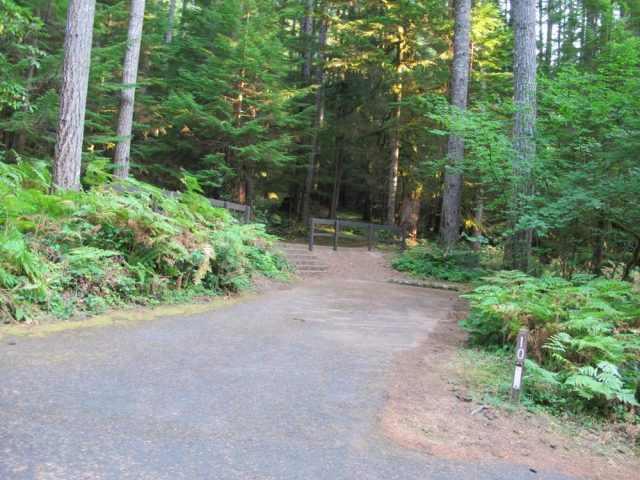 Cove Creek Campground Site#10