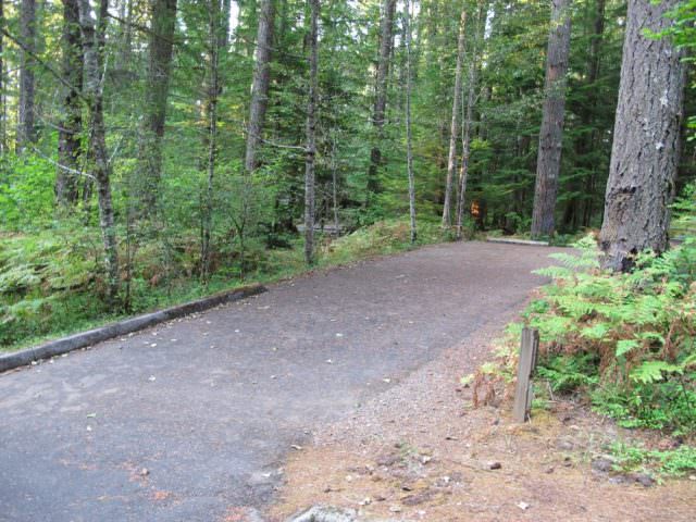 Cove Creek Campground Site#11