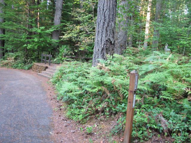 Cove Creek Campground Site#12