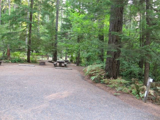 Cove Creek Campground Site#13