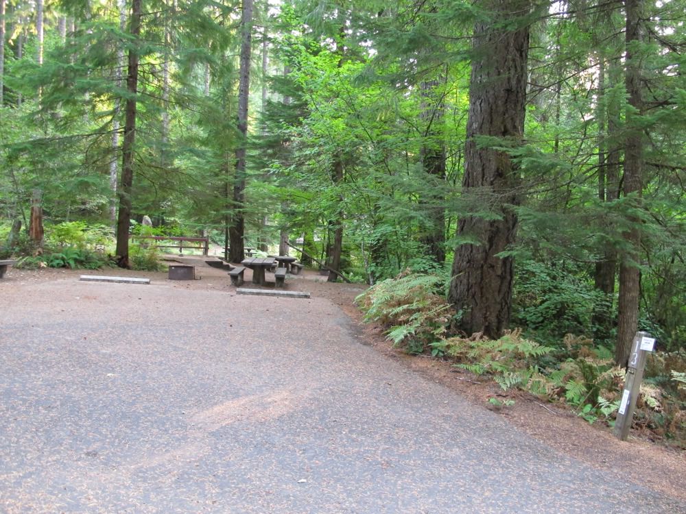 Cove Creek Campground Detroit Lake, Oregon 63 Campsites, 22 a night