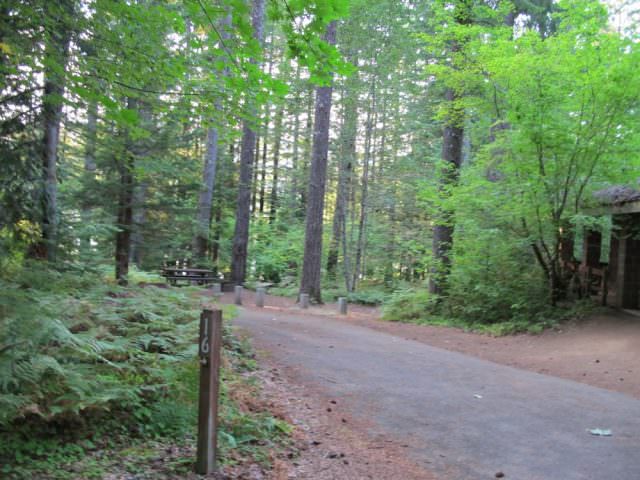 Cove Creek Campground Site#16