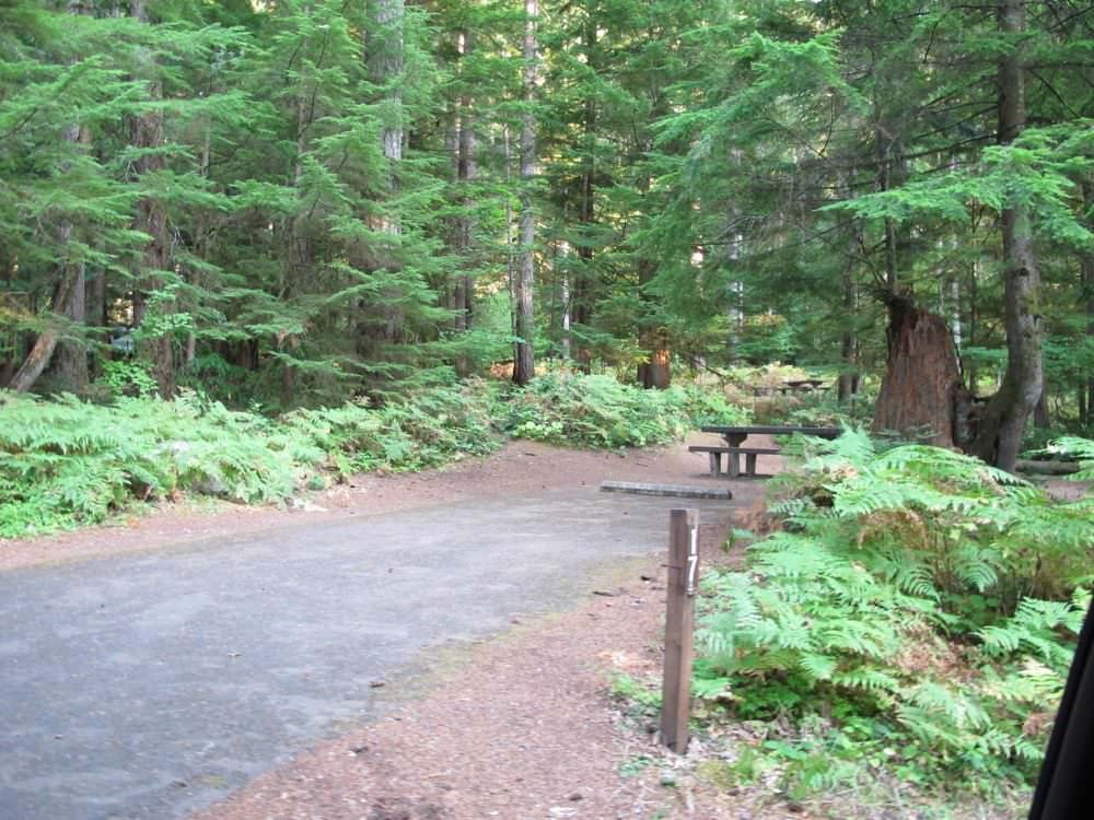 Cove Creek Campground Detroit Lake, Oregon 63 Campsites, 22 a night