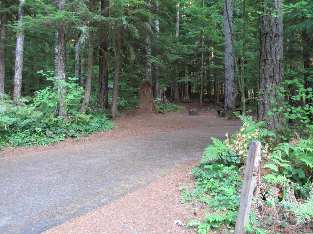 Cove Creek Campground Detroit Lake, Oregon 63 Campsites, 22 a night