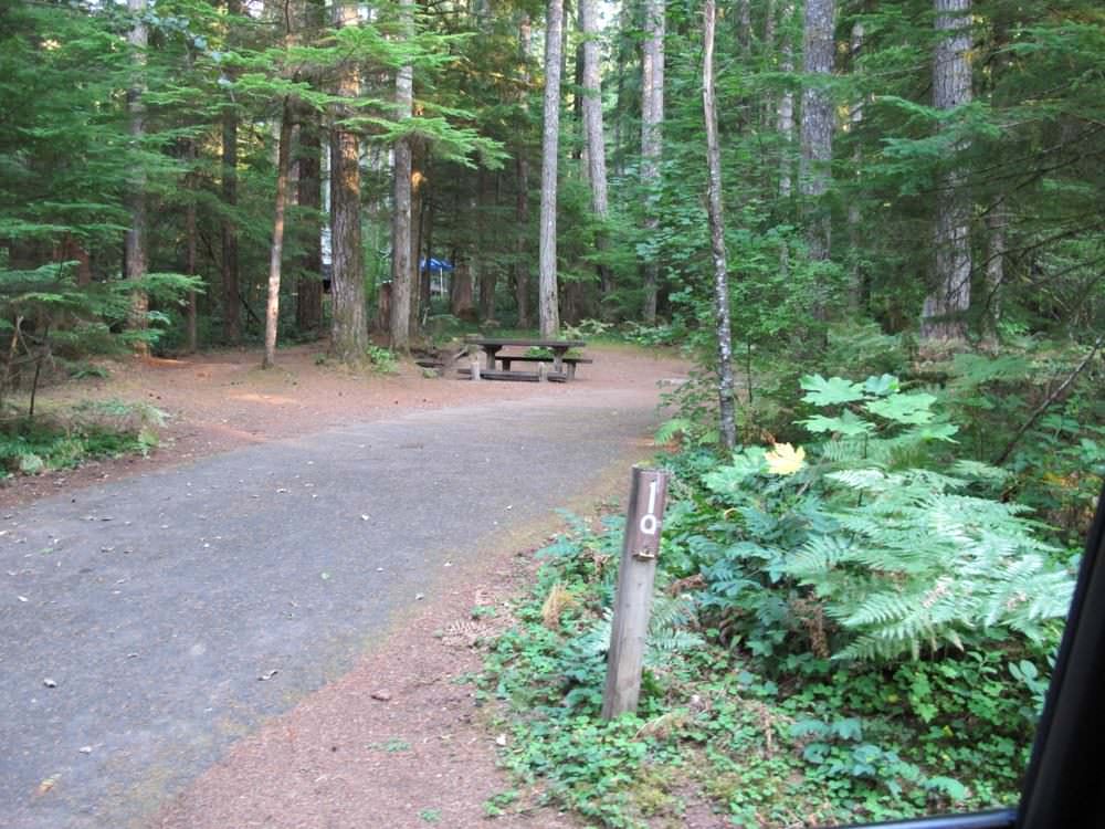 Cove Creek Campground Detroit Lake, Oregon 63 Campsites, 22 a night