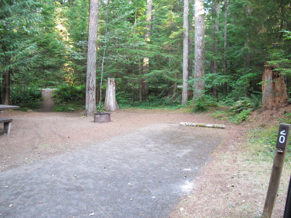Cove Creek Campground Detroit Lake, Oregon 63 Campsites, 22 a night