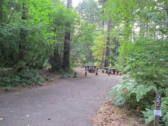 Cove Creek Campground Site#22