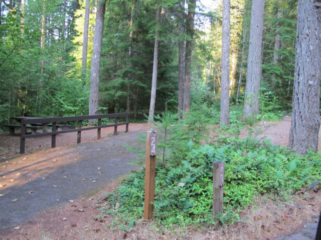 Cove Creek Campground Site#24
