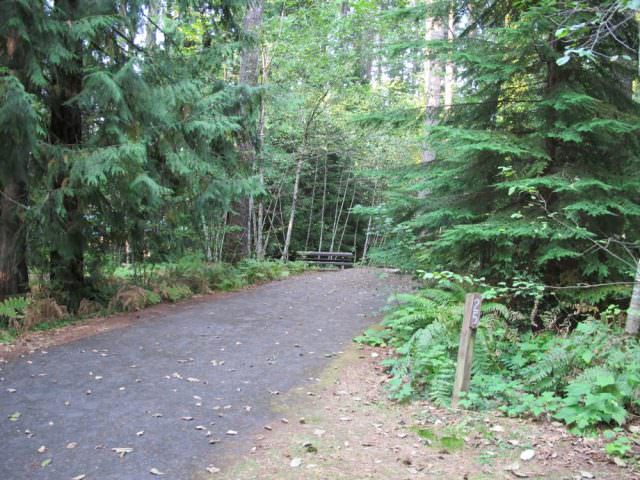 Cove Creek Campground Site#25