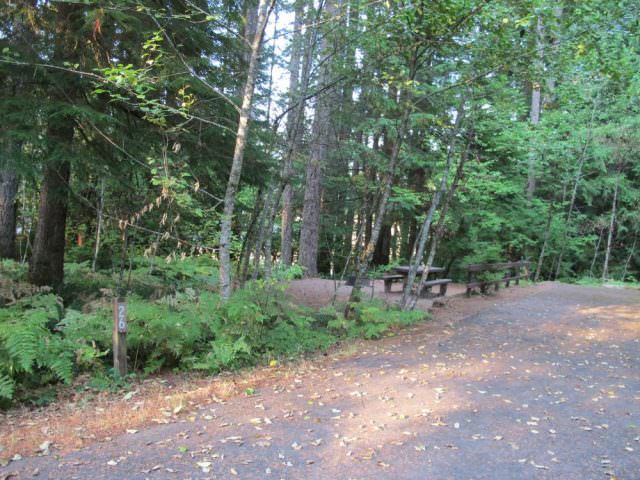 Cove Creek Campground Site#26