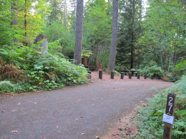 Cove Creek Campground Site#27