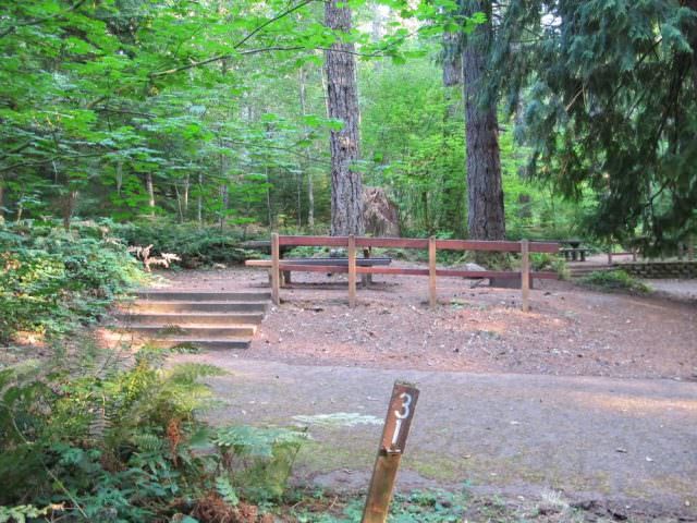 Cove Creek Campground Site#31
