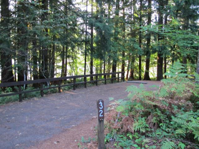 Cove Creek Campground Site#32