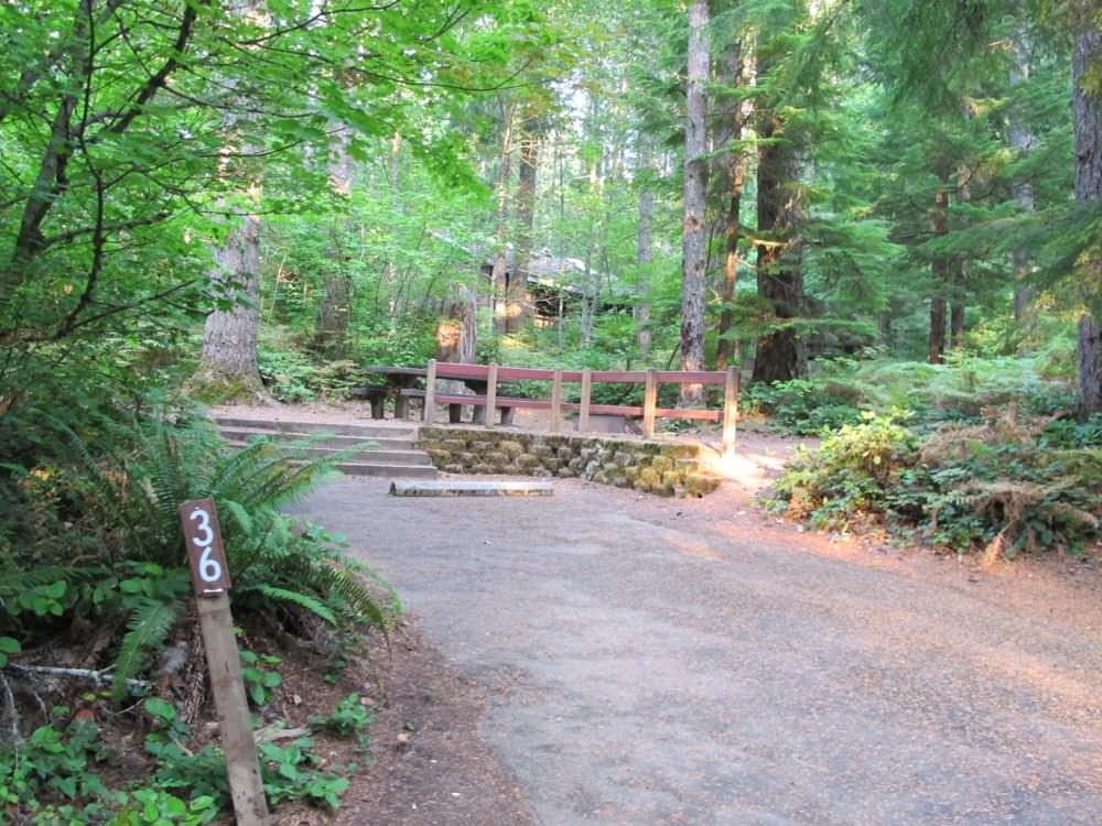 Cove Creek Campground Detroit Lake, Oregon 63 Campsites, 22 a night