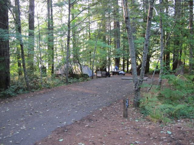 Cove Creek Campground Site#37