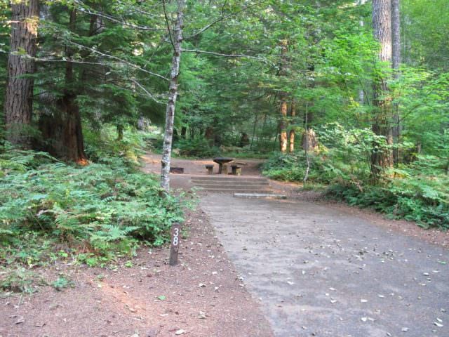 Cove Creek Campground Site#38