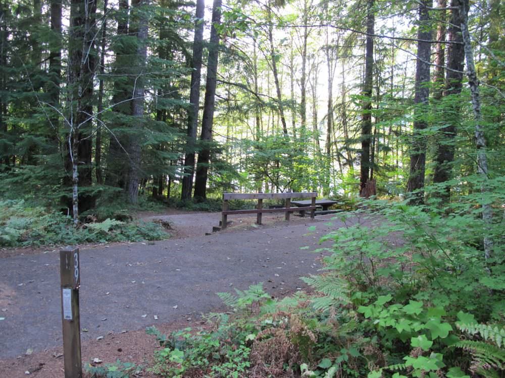Cove Creek Campground Detroit Lake, Oregon 63 Campsites, 22 a night