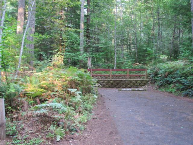 Cove Creek Campground Site#40