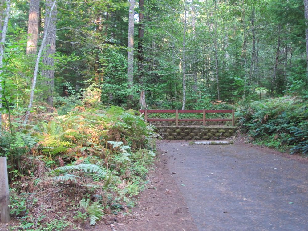 Cove Creek Campground Detroit Lake, Oregon 63 Campsites, 22 a night