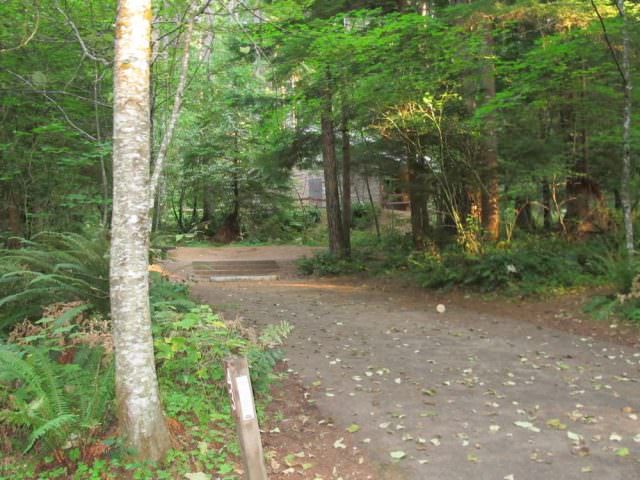Cove Creek Campground Site#43