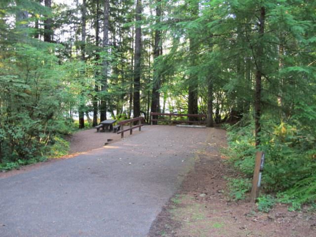 Cove Creek Campground Site#44