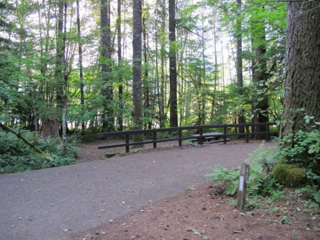 Cove Creek Campground Site#48