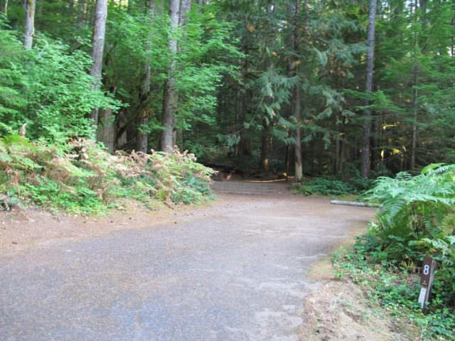 Cove Creek Campground Site#8