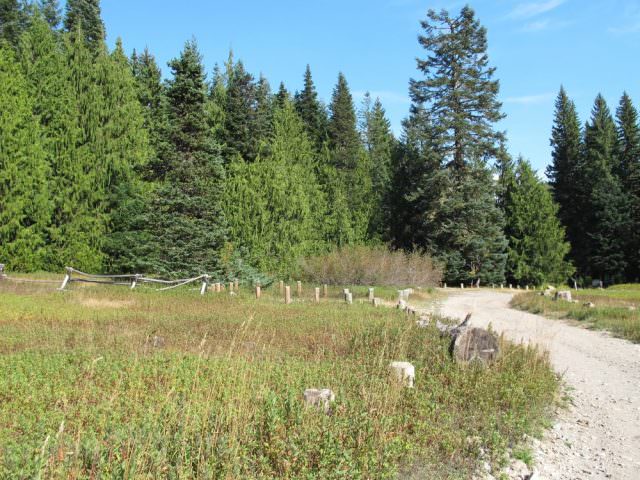 Elk Lake Camping Area