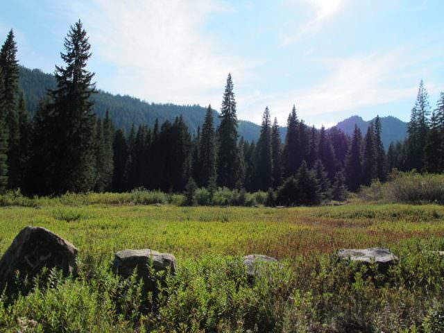 Elk Lake Meadows