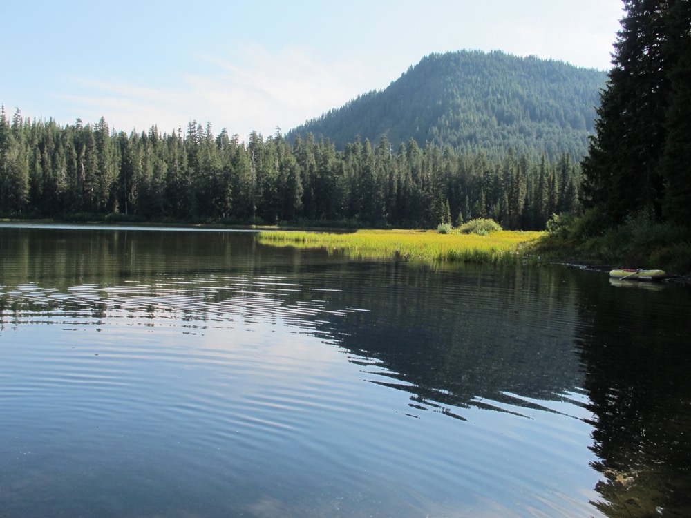 Elk Lake Campground Detroit, Oregon Bull of the Woods