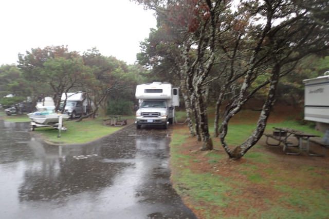 Nehalem Bay Campground Site# D32