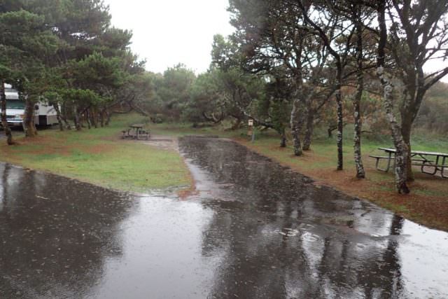 Nehalem Bay Campground Site# D36