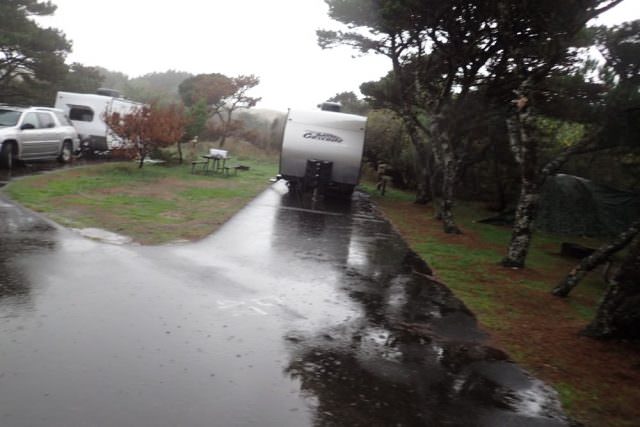 Nehalem Bay Campground Site# D47