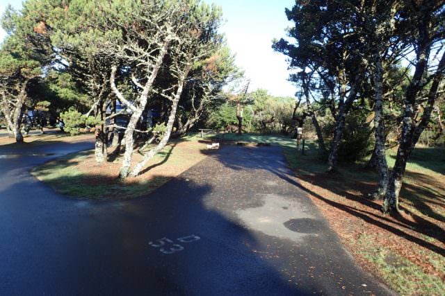 Nehalem Bay Campground Site# D53