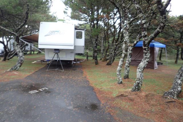 Nehalem Bay Campground Site# E11