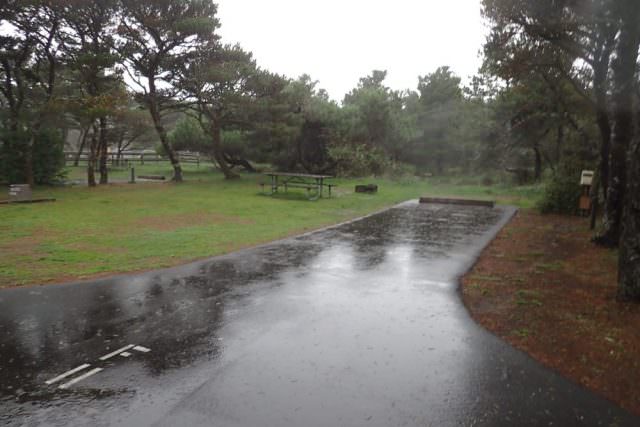 Nehalem Bay Campground Site# F11