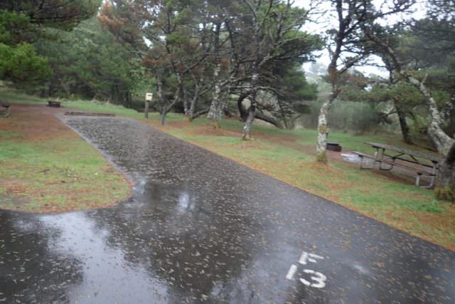 Nehalem Bay Campground Site# F13
