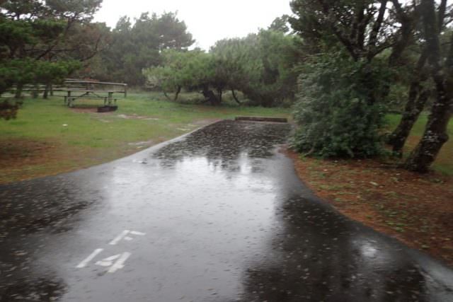 Nehalem Bay Campground Site# F14