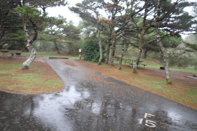 Nehalem Bay Campground Site# F15
