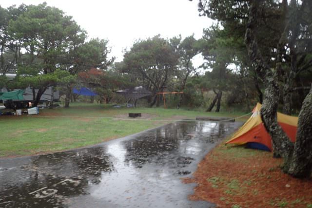 Nehalem Bay Campground Site# F19