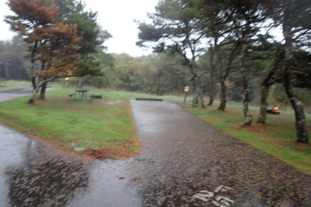 Nehalem Bay Campground Site# F25