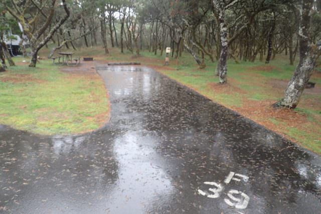 Nehalem Bay Campground Site# F39
