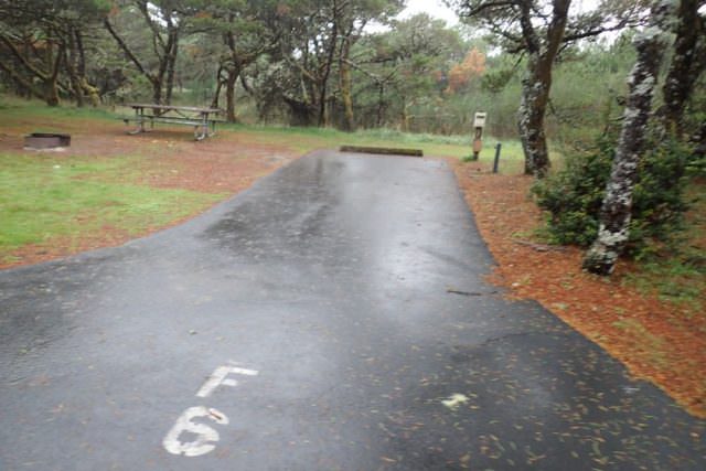Nehalem Bay Campground Site# F6