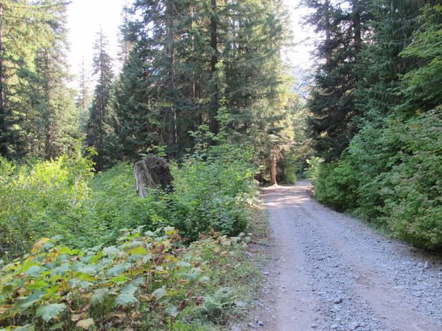 Road down to Campground