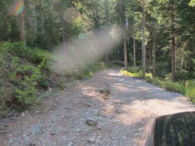 Rough road to Elk Lake