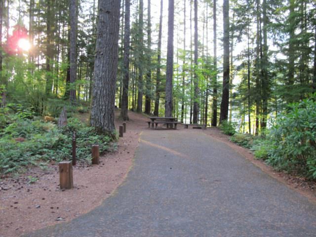 Southshore Campground Site#22