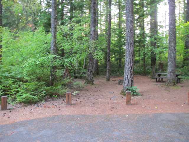 Southshore Campground Site#23