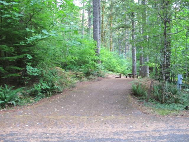 Southshore Campground Site#3