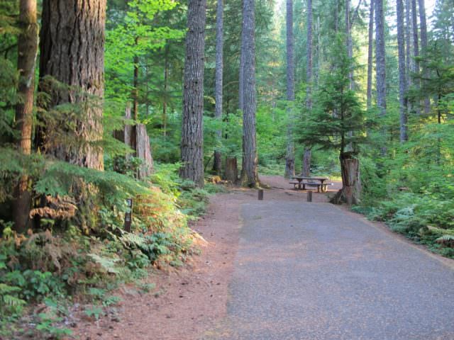 Southshore Campground Site#30